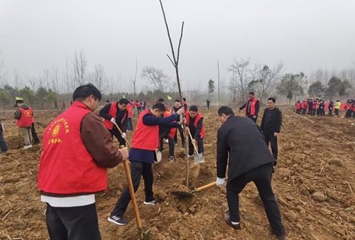 ​“植”此青绿 共“树”未来——定远县三和集镇组织开展植树节活动