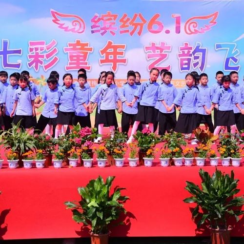 六一暖心！金大洋爱心捐赠，点亮乡村童梦之光(图7)