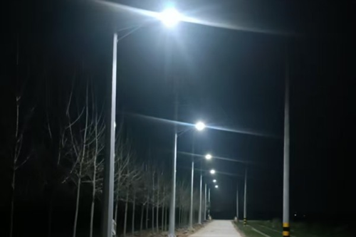 黑龙江省肇东市昌五镇四井村：乡村新能源 照亮振兴路(图2)
